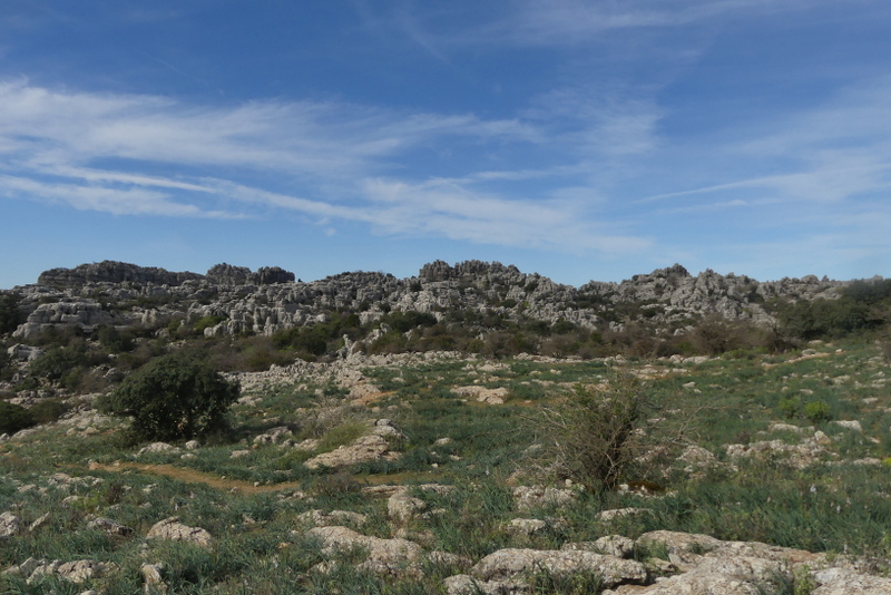 Andalusia: le orchidee e Grandi Pietre  marzo-aprile 2023.